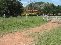 Clique aqui para visualizar galeria de fotos!